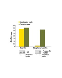 Cell Signaling Pathscan Phospho-Axl (Pantyr) Sandwich ELISA Kit