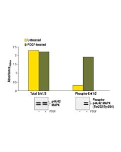 Cell Signaling Pathscan Total P44/42 Mapk (Erk1/2) Sandwich ELISA Kit