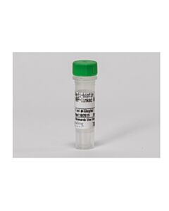 Cell Signaling Anti-Biotin, Hrp-Linked Antibody