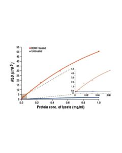 Cell Signaling Pathscan Phospho-Trkb (Pantyr) Chemiluminescent Sandwich ELISA Kit