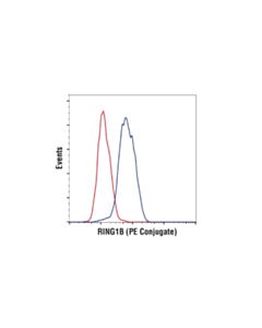 Cell Signaling Ring1b (D22f2) Xp Rabbit mAb (PE Conjugate)