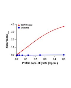 Cell Signaling Phospho-SMAD1 (Ser463/465) Matched Antibody Pair; 1 Kit