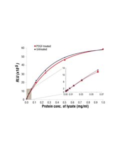 Cell Signaling Pathscan Total Akt1 Chemiluminescent Sandwich ELISA Kit