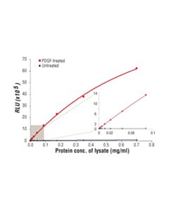 Cell Signaling Pathscan Phospho-Akt (Thr308) Chemiluminescent Sandwich ELISA Kit