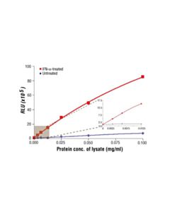 Cell Signaling Pathscan Phospho-Stat3 (Tyr705) Chemiluminescent Sandwich ELISA Kit