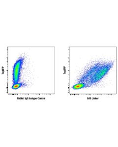 Cell Signaling G4s Linker (E7o2v) Rabbit mAb