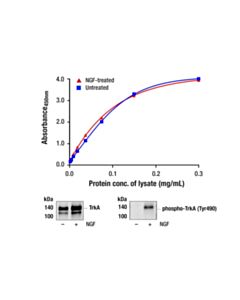 Cell Signaling Pathscan Total Trka Sandwich ELISA Kit
