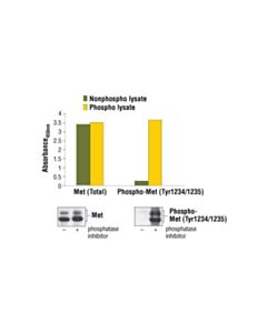 Cell Signaling Pathscan Phospho-Met (Tyr1234/1235) Sandwich ELISA Kit