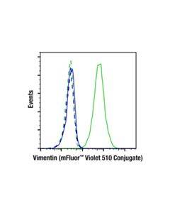 Cell Signaling Vimentin (D21H3) XP ® Rabbit mAb (mFluor ™ Violet 510 Conjugate)