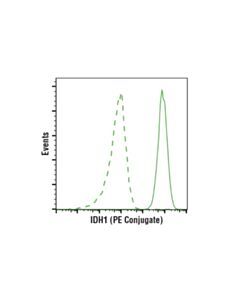 Cell Signaling Idh1 (D2h1) Rabbit mAb (PE Conjugate)
