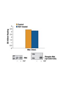 Cell Signaling PathScan ® Total Met Sandwich ELISA Kit