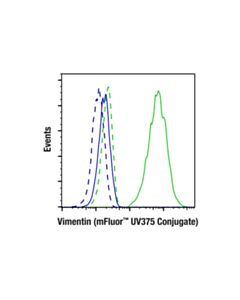 Cell Signaling Vimentin (D21H3) XP ® Rabbit mAb (mFluor ™ UV375 Conjugate)