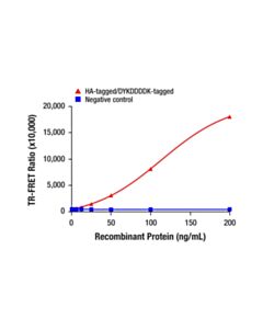 Cell Signaling HA-Tag (C29F4) Rabbit mAb (trFluor ™ Europium Cryptate Conjugate)