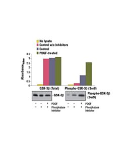 Cell Signaling Pathscan Total Gsk-3beta Sandwich ELISA Kit