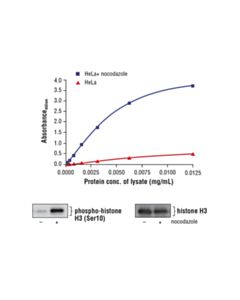 Cell Signaling Fastscan Phospho-Histone H3 (Ser10) ELISA Kit