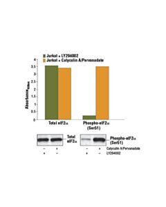 Cell Signaling Pathscan Phospho-Eif2alpha (Ser51) Sandwich ELISA Kit