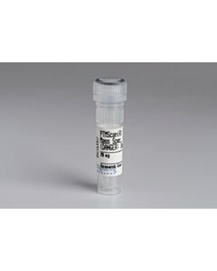 Cell Signaling Ptmscan Trypsin, Mass Spectrometry Grade