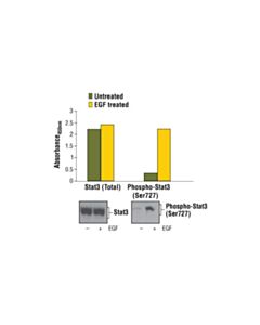 Cell Signaling Pthscn Totl Stt3 Sndwich ELISA Kit Apply) (Additional
