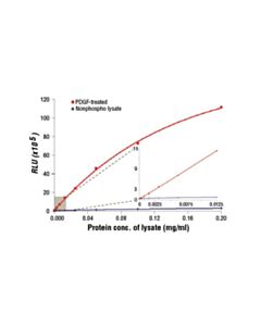 Cell Signaling Pathscan Phospho-S6 Ribosomal Protein (Ser235/236) Chemiluminescent Sandwich ELISA Kit