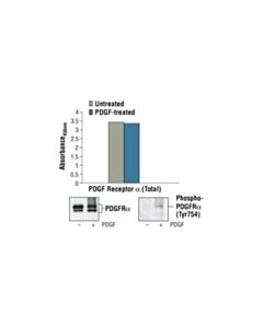 Cell Signaling PathScan® Total PDGF Receptor alpha Sandwich ELISA Kit