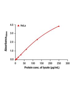 Cell Signaling Total p38 alpha MAPK Matched Antibody Pair