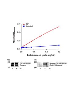 Cell Signaling Pathscan Phospho-Vegfr-2 (Tyr1175) Sandwich ELISA Kit