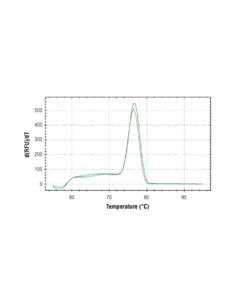 Cell Signaling Simplechip Human Adam9 Intron 11 Primers