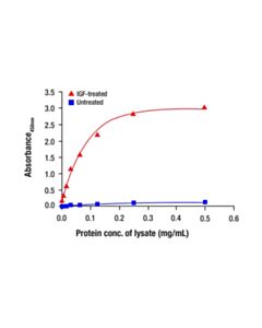 Cell Signaling Phospho-p70 S6 Kinase (Thr389) Matched Antibody Pair