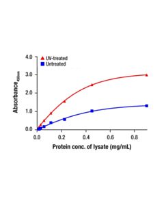 Cell Signaling Phospho-Glucocorticoid Receptor (Ser226) Matched Antibody Pair; 1 Kit