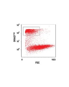 Cell Signaling Draq7