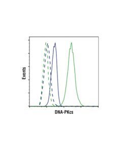 Cell Signaling Phosphoplus Dna-Pkcs (Ser2056) Antibody Duet