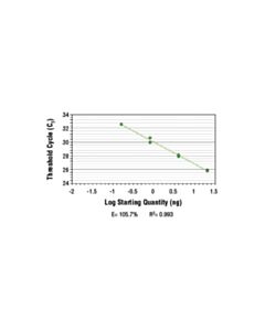Cell Signaling Simplechip Human Dhfr Intron 1 Primers
