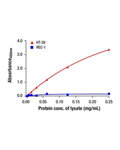 Cell Signaling Total FAK Matched Antibody Pair