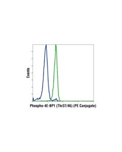 Cell Signaling Phospho-4e-Bp1 (Thr37/46) (236b4) Rabbit mAb (PE Conjugate)