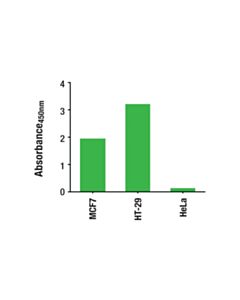 Cell Signaling Total EpCAM Matched Antibody Pair