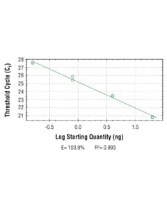 Cell Signaling Simplechip Human Arrdc3 Downstream Primers