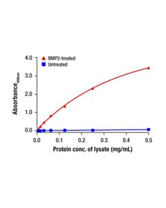 Cell Signaling Phospho-SMAD5 (Ser463/465) Matched Antibody Pair; 1 Kit