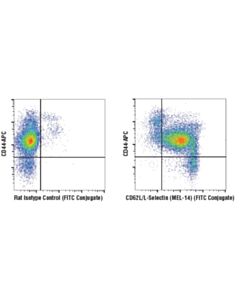Cell Signaling Cd62l/L-Selectin (Mel-14) Rat mAb (Fitc Conjugate)