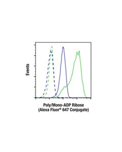 Cell Signaling Poly/Mono-ADP Ribose (D9P7Z) Rabbit Monoclonal Antibody (Alexa Fluor ® 647 Conjugate)