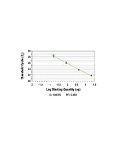 Cell Signaling Simplechip Human Dmd Intron 2 Primers