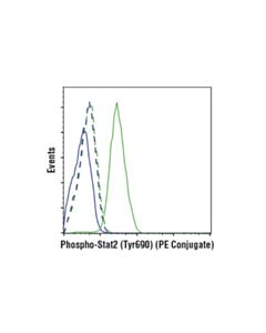 Cell Signaling Phospho-Stat2 (Tyr690) (D3p2p) Rabbit mAb (PE Conjugate)