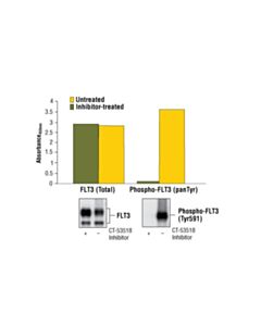 Cell Signaling Pathscan Phospho-Flt3 (Pantyr) Sandwich ELISA Kit