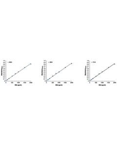 Cell Signaling BCA Protein Assay Kit