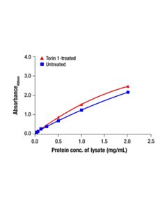 Cell Signaling Total ULK1 Matched Antibody Pair