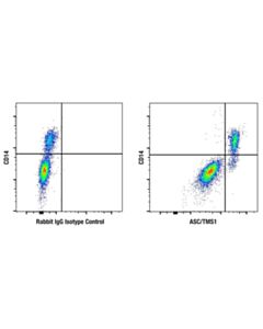 Cell Signaling ASC/TMS1 (F8U7P) Rabbit mAb