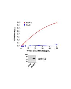 Cell Signaling Pathscan Total Sqstm1/P62 Sandwich ELISA Kit