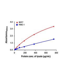 Cell Signaling Total BCKDH-E1α Matched Antibody Pair; 1 Kit
