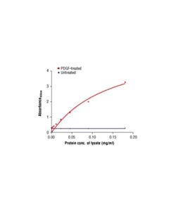 Cell Signaling Pathscan Phospho-Pdgf Receptor Beta (Tyr751) Sandwich ELISA Antibody Pair