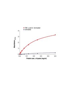 Cell Signaling Pathscan Phospho-Nf-Kappab P65 (Ser536) Sandwich ELISA Antibody Pair