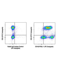 Cell Signaling CD162/PSGL-1 (F8D5X) Rabbit mAb (PE Conjugate)